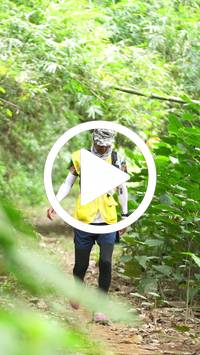 BIB:  <button type="button" onclick="openModal(26823869)" class="btn btn-primary btn-sm float-right" data-toggle="modal" data-target=".modal-high-quality">
                <i class="fa fa-download"></i> Download
                </button>